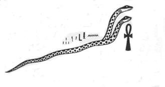 Serpent Cosmique