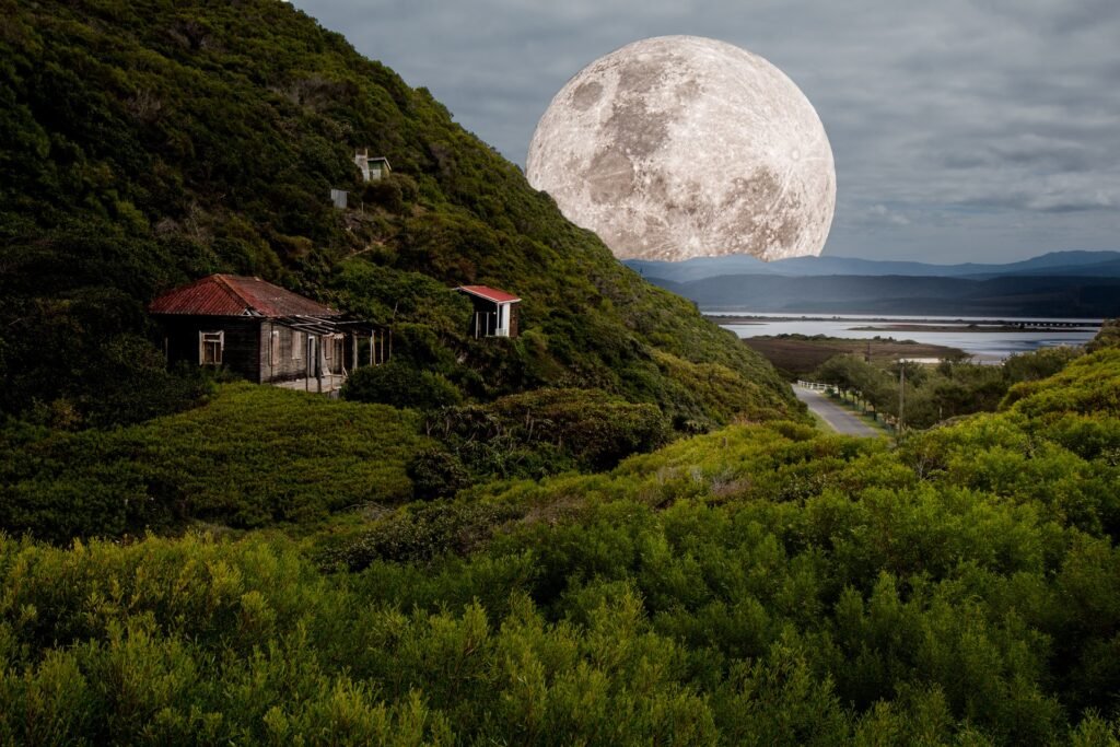 Lune Maison