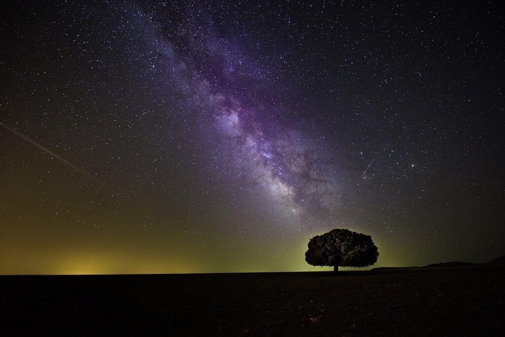 Cosmos - Arbre - Étoiles - Nuit