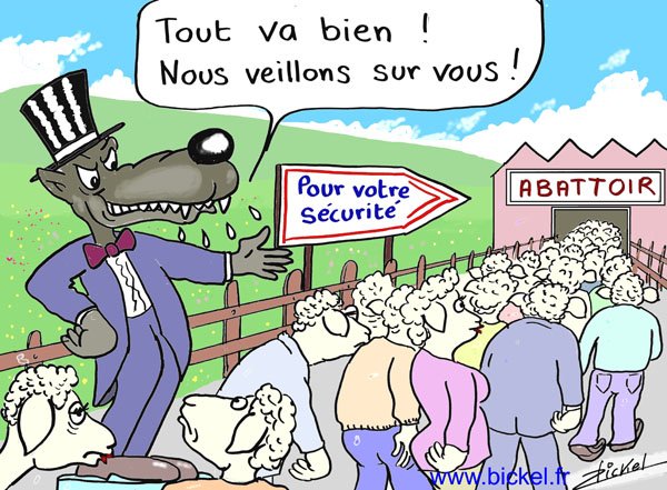 Moutons en marche vers ... l'abattoir!