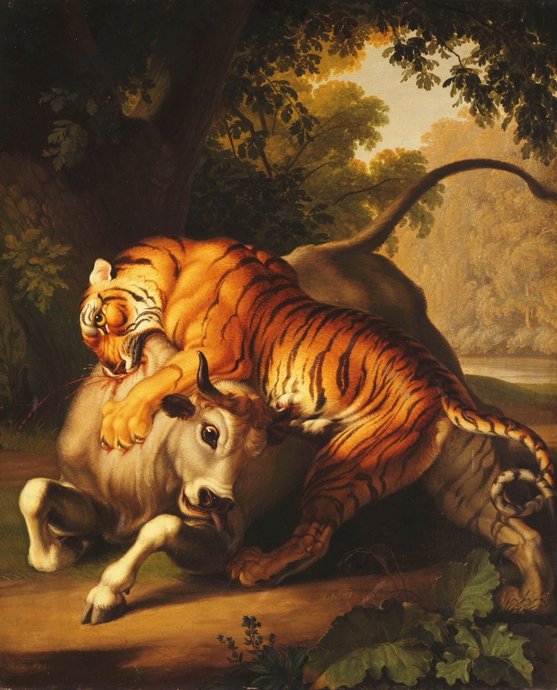 Tigre attaquant un taureau - Johan Wenzel Peter