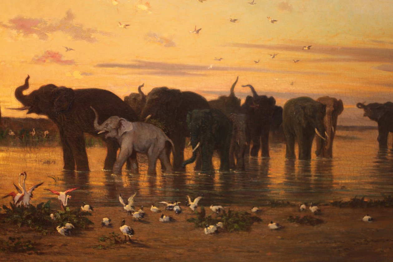 Eléphants d' Afrique - Charles de Tournemine