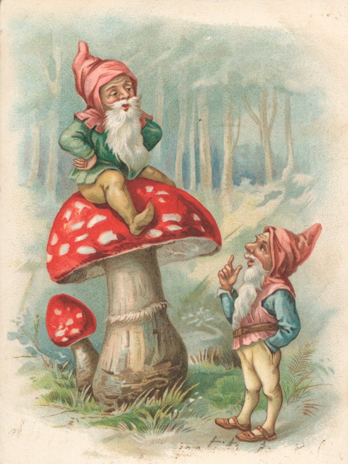 Gnomes et champignons - École anglaise