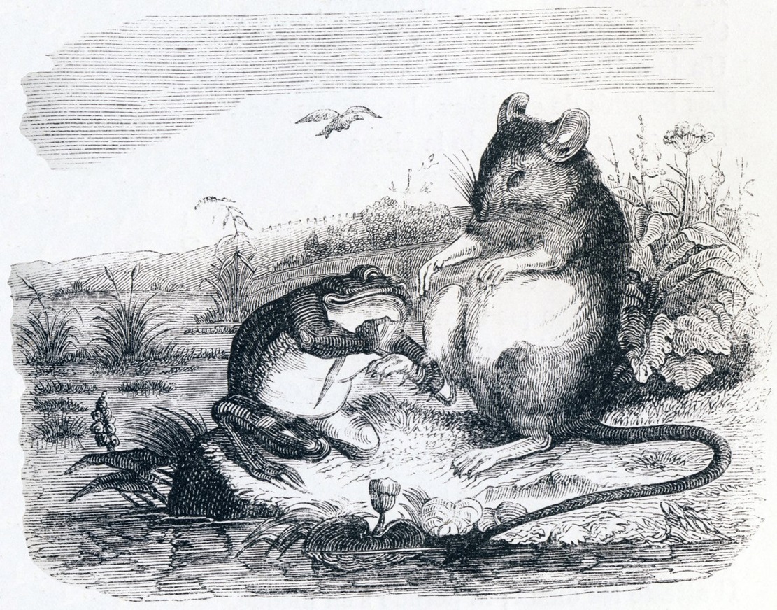 La grenouille et le rat - Grandville