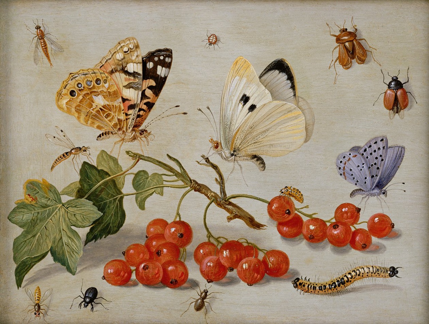 Papillons avec nature morte - Jan van Kessel l'Ancien